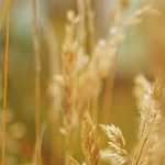 转：《白蛇：缘起》同人MV——下一世再与你永不分离