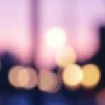 【公告】2019.3.1