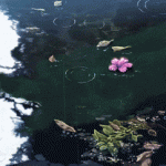 【言叶之庭】某一天你我暮年,静坐庭前,赏花落,笑谈浮生流年